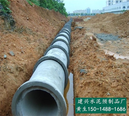 水泥管 钢筋混凝土管 广州南沙区厂家直销